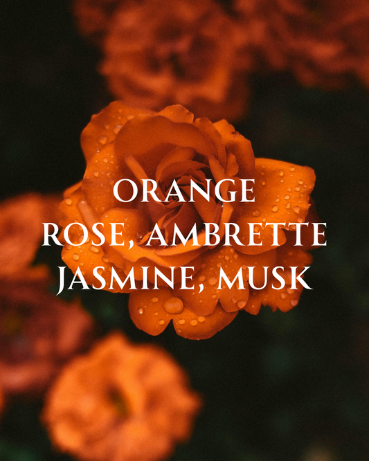 Fantasy Comparable to Valentino’s Born in Roma Coral Fantasy